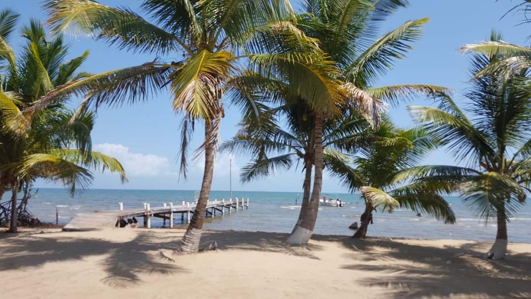 Beachfront for sale in Belize > Resorts, Income properties & Businesses ...