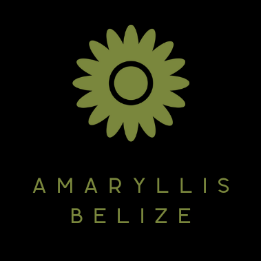 Amaryllis Belize - Belize, Central America