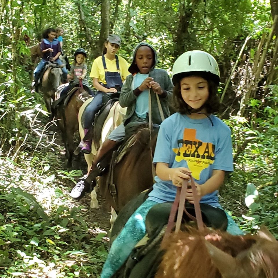 Banana Bank Horses and Belize Jungle Lodge - Belize, Central America