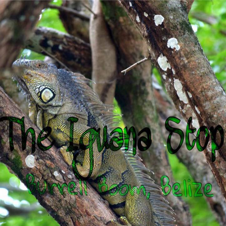 The Iguana Stop Restaurant - Belize, Central America