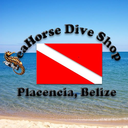 Seahorse Dive Shop - Belize, Central America