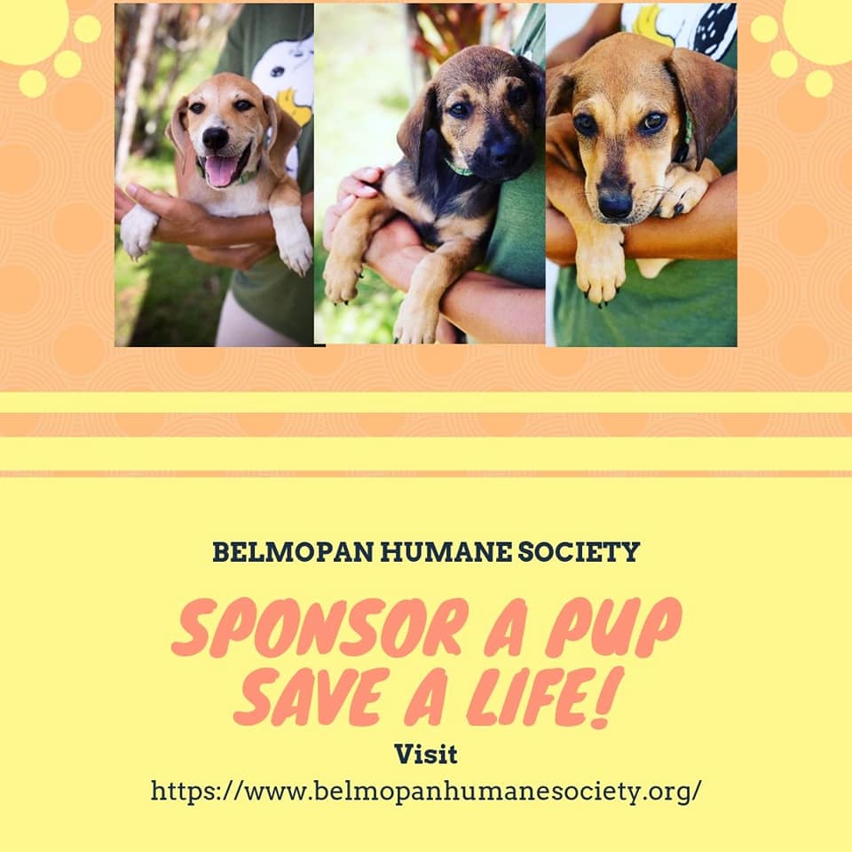 Belmopan Humane Society - Belize, Central America